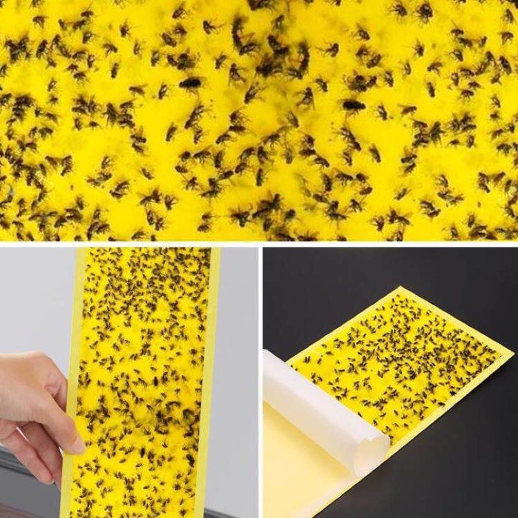 fly trap lamp paper board fly trap lamp paper board