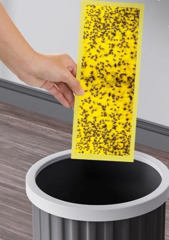 fly trap lamp paper effect fly trap lamp paper effect