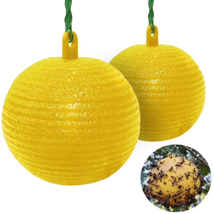 Deer Fly Ball