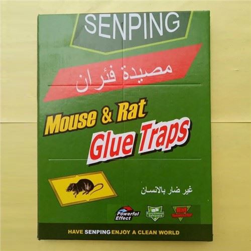 ورق غراء الماوس