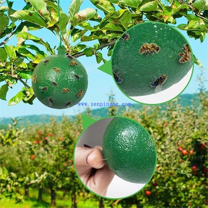Aphids trap ball